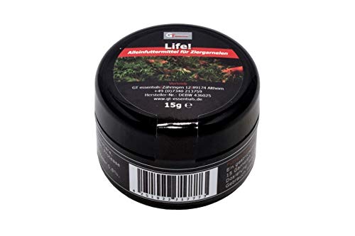 GT essentials - Life! - Garnelenfutter GT essentials - Life! - Garnelenfutter von GT essentials