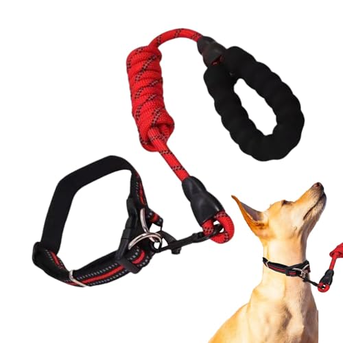 GTFYUDGH Kleines Hundehalsband, verstellbares Haustierhalsband - Atmungsaktives Halsband für Hunde mit Seil-Set - Reflektierende Design-Nylon-Hundehalsbänder, geeignet für große, mittlere und kleine GTFYUDGH Kleines Hundehalsband, verstellbares Haustierhalsband - Atmungsaktives Halsband für Hunde mit Seil-Set - Reflektierende Design-Nylon-Hundehalsbänder, geeignet für große, mittlere und kleine von GTFYUDGH