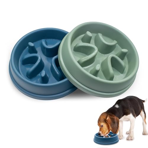 GTNCE Futternapf für langsames Fressen, 20,7 x 4,6 cm, Langsamer Futternapf, groß, Anti-Schluck-Napf für Katzen und Hunde, zum Verlangsamen des Fressens, langsames Füttern mit rutschfesten Gummifüßen, von GTNCE