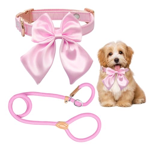 GTYHH 1 Stück Hundehalsband, 1 Hundeleine, Personalisiertes Hundehalsband, Hundehalsband Mit Schleife, Hundeleinenzubehör, Haustierhalsband GTYHH 1 Stück Hundehalsband, 1 Hundeleine, Personalisiertes Hundehalsband, Hundehalsband Mit Schleife, Hundeleinenzubehör, Haustierhalsband von GTYHH