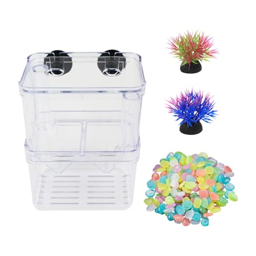 GTYHH 1 Aquarium, 2 Simulierte Wasserpflanzen Und 50 Leuchtende Steine, Zubehör Für Die Aquariengestaltung, Brutkasten Für Zierfische, Fischzuchtkasten GTYHH 1 Aquarium, 2 Simulierte Wasserpflanzen Und 50 Leuchtende Steine, Zubehör Für Die Aquariengestaltung, Brutkasten Für Zierfische, Fischzuchtkasten von GTYHH