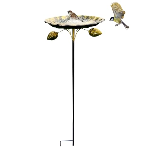 GUAHKUN Vogeltränke Stehend Winterfest Aus Edelstahl Mit 5-Zacken-Sockel Vogelbad Frostsichere Metalltränke Für Wildvögel Im Garten Und Outdoor-Bereiche (A) von GUAHKUN