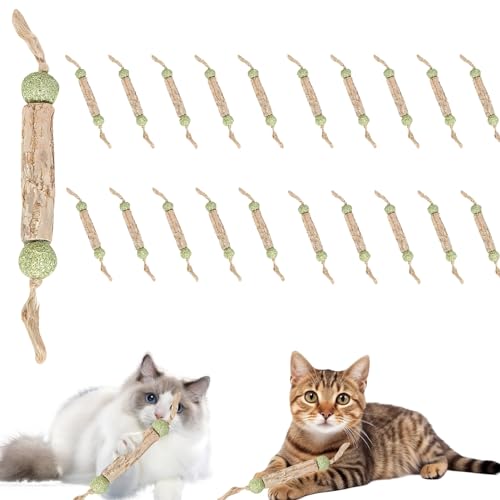 Katzensticks, Katzenminze Sticks, Matatabi Stick Katze, Katzenspielzeug, Katzen Kauhölzer Sticks Mit Katzenminze Balls, Für Katzen Zahnpflege, Natürlich Sicher Katzensticks Kausticks Set (20Stück) Katzensticks, Katzenminze Sticks, Matatabi Stick Katze, Katzenspielzeug, Katzen Kauhölzer Sticks Mit Katzenminze Balls, Für Katzen Zahnpflege, Natürlich Sicher Katzensticks Kausticks Set (20Stück) von GUAHKUN