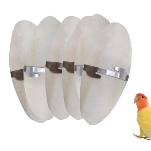 GUAKK 8–10 cm natürlicher Tintenfischknochen für Vögel, Papageien, Kauspielzeug mit Metallhaltern, kalziumreiches Backenzahnspielzeug für Papageien, Nymphensittiche, Reptilien und Schildkröten, 6 GUAKK 8–10 cm natürlicher Tintenfischknochen für Vögel, Papageien, Kauspielzeug mit Metallhaltern, kalziumreiches Backenzahnspielzeug für Papageien, Nymphensittiche, Reptilien und Schildkröten, 6 von GUAKK