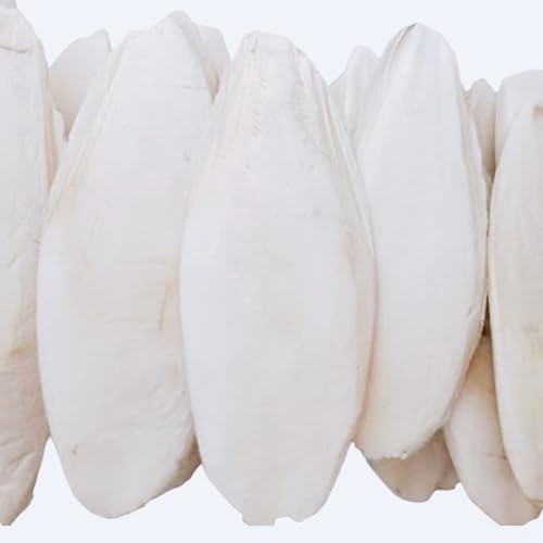 GUAKK Großes Tintenfisch-Kauspielzeug für Vögel, Papageien, Reptilien, natürlicher Molar- und Ernährungsbedarf, mit Metallhalter für Schildkröten, Schnecken, Wellensittiche (8–10 cm), 10 Stück von GUAKK