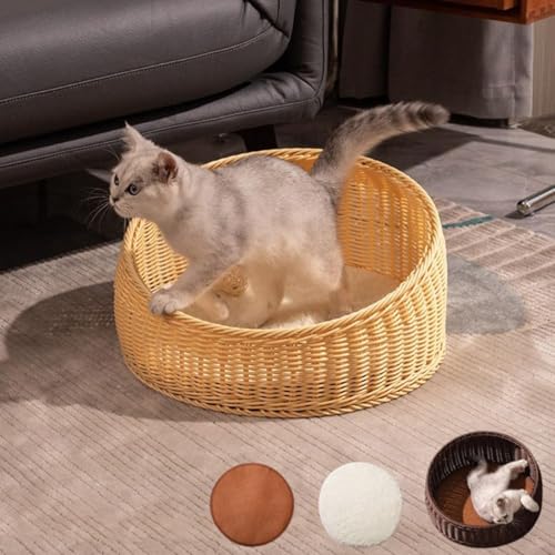 Natürliches Rattan-Katzenbett mit waschbarem Kissen und Bambusmatte, handgewebtes Weiden-Haustierhaus für Indoor-Katzen, atmungsaktives Sommerschlafbett für Kätzchen/kleine Haustiere (Beige) von GUAKK