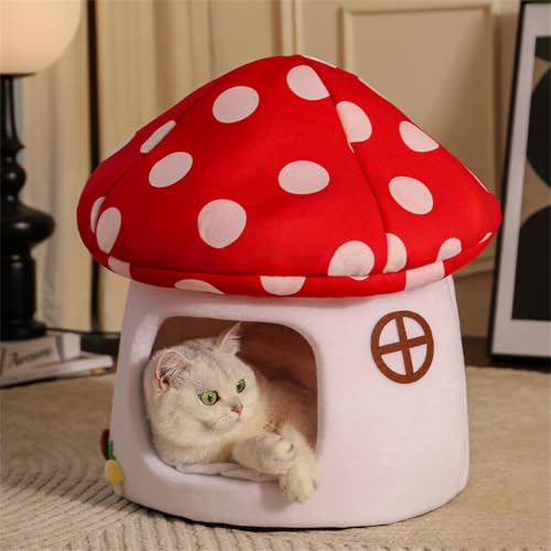 Pilz-Katzenbett mit abnehmbarem Kissen, Schokoladen-Keks-Form, Katzenhöhle, Zelt, Haus, weiches Plüsch-Haustierbett für Indoor-Katzen und kleine Hunde, rutschfeste Unterseite, waschbar, Katzenhaus Pilz-Katzenbett mit abnehmbarem Kissen, Schokoladen-Keks-Form, Katzenhöhle, Zelt, Haus, weiches Plüsch-Haustierbett für Indoor-Katzen und kleine Hunde, rutschfeste Unterseite, waschbar, Katzenhaus von GUAKK