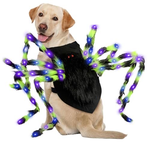GUDELAK Hunde Halloween Kostüme, Pelzige Hund Spinne Kostüm mit 64 LED, Riesen Spinne Halloween Kostüm für mittelgroße große Hunde, lustige Hunde Kostüme für Katze Haustier Halloween Party Cosplay GUDELAK Hunde Halloween Kostüme, Pelzige Hund Spinne Kostüm mit 64 LED, Riesen Spinne Halloween Kostüm für mittelgroße große Hunde, lustige Hunde Kostüme für Katze Haustier Halloween Party Cosplay von GUDELAK