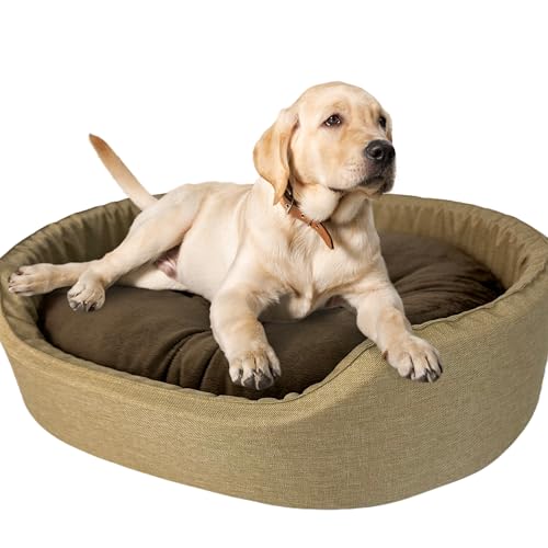 Hundebett | Weiches und angenehmes Material | Set mit Kissen | Größe XXL | 88x76x18 cm | Beigebraun von GUGI