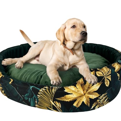 Hundebett | Weiches und angenehmes Material | Set mit Kissen | Größe XXL | 88x76x18 cm | Grün-Gold von GUGI