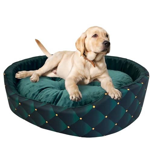 Hundebett | Weiches und angenehmes Material | Set mit Kissen | Größe XXL | 88x76x18 cm | Grün-Gold von GUGI