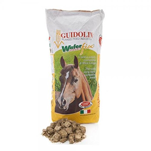 Guidolin Wafer Fioc 20Kg Heu und Kraftfutter in einem für Ihr Pferd Guidolin Wafer Fioc 20Kg Heu und Kraftfutter in einem für Ihr Pferd von GUIDOLIN EQUIBAR NATURAL SUPPORT