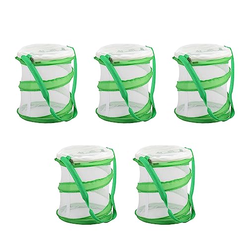 GUIJIALY 5X Kleine Gottesanbeterin Stick Insect Butterfly -Up Cage Gehäuse Gehäuse GUIJIALY 5X Kleine Gottesanbeterin Stick Insect Butterfly -Up Cage Gehäuse Gehäuse von GUIJIALY