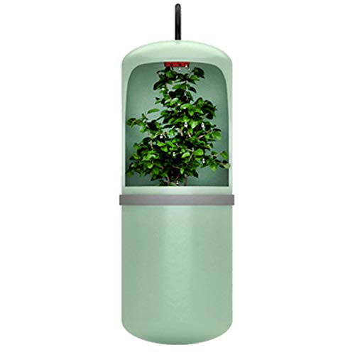GUIJIALY Automatisches Wassertrinken Reptil Trink Wasserbrunnen FüTterungs Terrarium Amphibien -EU Stecker GUIJIALY Automatisches Wassertrinken Reptil Trink Wasserbrunnen FüTterungs Terrarium Amphibien -EU Stecker von GUIJIALY