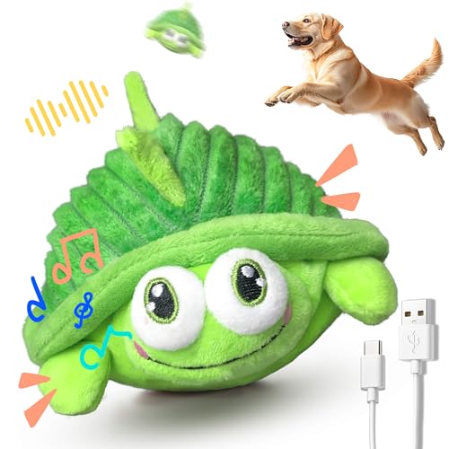 GUKCO Hundespielzeug für alle Rassen (Schildkröte) von GUKCO
