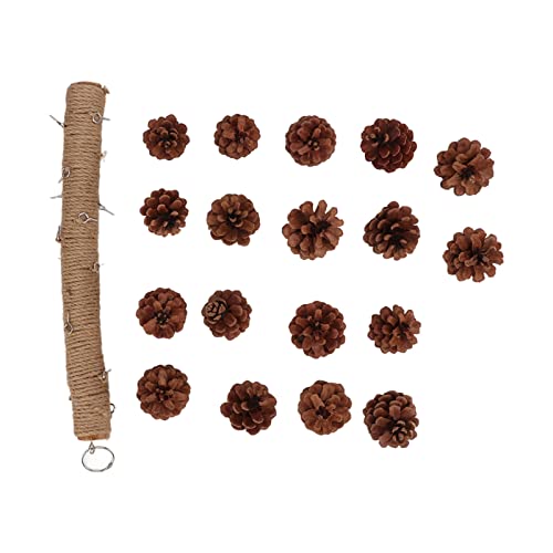 GULEEK Hausvögel, Papageien, die Tannenzapfen kauen, Spielzeug zum Aufhängen von Tannenzapfen, Vogelspielzeug mit Aufhängeschlaufe (Large) von GULEEK