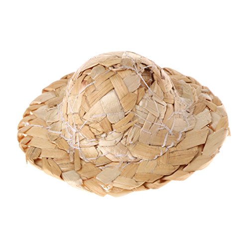 GUMEI 1PC Handmade Stroh gewebte Mütze verstellbar für Papageienvögel Accessoires Modisch von GUMEI