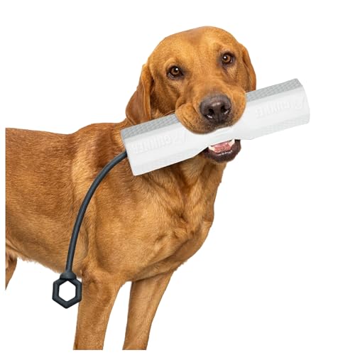 GUNNER Hunde-Stoßstangen-Spielzeug mit verstellbarem Seil, interaktives Hundespielzeug & Hundetrainingsdummy – Wasserabrufdummy für Strand, Pool, Wasserspiel – Apportierspielzeug für kleine, GUNNER Hunde-Stoßstangen-Spielzeug mit verstellbarem Seil, interaktives Hundespielzeug & Hundetrainingsdummy – Wasserabrufdummy für Strand, Pool, Wasserspiel – Apportierspielzeug für kleine, von GUNNER