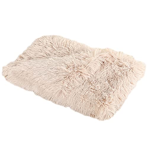 GUOCU Hundedecken Flauschig Plüsch Katzendecke Super Softe Weiche Warme Einfarbig Doppeilseitige Haustierdecke Weiche Fleecedecke Waschbare, Bett Decken für Hunde Und Katze,Aprikose,78×54cm GUOCU Hundedecken Flauschig Plüsch Katzendecke Super Softe Weiche Warme Einfarbig Doppeilseitige Haustierdecke Weiche Fleecedecke Waschbare, Bett Decken für Hunde Und Katze,Aprikose,78×54cm von GUOCU