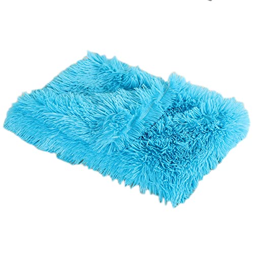 GUOCU Hundedecken Flauschig Plüsch Katzendecke Super Softe Weiche Warme Einfarbig Doppeilseitige Haustierdecke Weiche Fleecedecke Waschbare, Bett Decken für Hunde Und Katze,Blau,78×54cm GUOCU Hundedecken Flauschig Plüsch Katzendecke Super Softe Weiche Warme Einfarbig Doppeilseitige Haustierdecke Weiche Fleecedecke Waschbare, Bett Decken für Hunde Und Katze,Blau,78×54cm von GUOCU