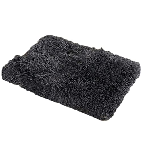 GUOCU Hundedecken Flauschig Plüsch Katzendecke Super Softe Weiche Warme Einfarbig Doppeilseitige Haustierdecke Weiche Fleecedecke Waschbare, Bett Decken für Hunde Und Katze,Grau1,56×36cm GUOCU Hundedecken Flauschig Plüsch Katzendecke Super Softe Weiche Warme Einfarbig Doppeilseitige Haustierdecke Weiche Fleecedecke Waschbare, Bett Decken für Hunde Und Katze,Grau1,56×36cm von GUOCU