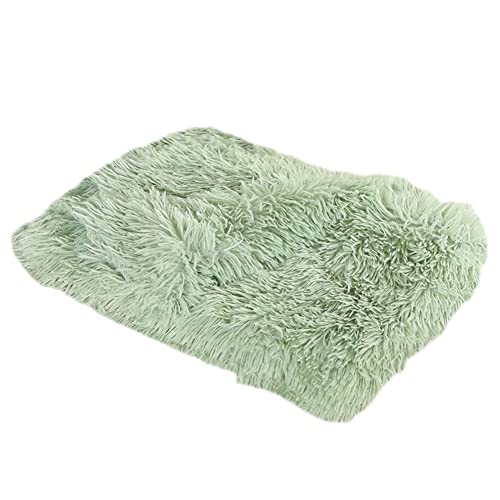 GUOCU Hundedecken Flauschig Plüsch Katzendecke Super Softe Weiche Warme Einfarbig Doppeilseitige Haustierdecke Weiche Fleecedecke Waschbare, Bett Decken für Hunde Und Katze,Grün,78×54cm GUOCU Hundedecken Flauschig Plüsch Katzendecke Super Softe Weiche Warme Einfarbig Doppeilseitige Haustierdecke Weiche Fleecedecke Waschbare, Bett Decken für Hunde Und Katze,Grün,78×54cm von GUOCU