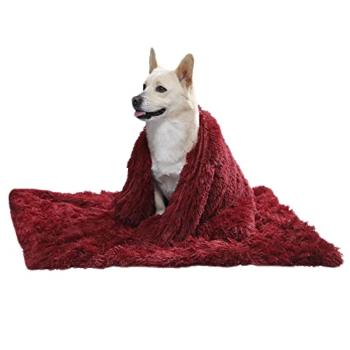GUOCU Hundedecken Flauschig Plüsch Katzendecke Super Softe Weiche Warme Einfarbig Doppeilseitige Haustierdecke Weiche Fleecedecke Waschbare, Bett Decken für Hunde Und Katze,Rot,127x100cm GUOCU Hundedecken Flauschig Plüsch Katzendecke Super Softe Weiche Warme Einfarbig Doppeilseitige Haustierdecke Weiche Fleecedecke Waschbare, Bett Decken für Hunde Und Katze,Rot,127x100cm von GUOCU