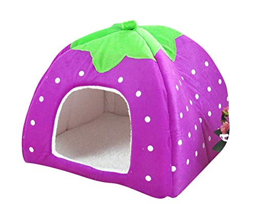 GUOCU Rote Erdbeere Haustierhaus Luxuriöses Weich Schlafsack Hundehütte Katzenhöhle Hund Katze Haus für Kleine Hunde und Katzen Lila M GUOCU Rote Erdbeere Haustierhaus Luxuriöses Weich Schlafsack Hundehütte Katzenhöhle Hund Katze Haus für Kleine Hunde und Katzen Lila M von GUOCU