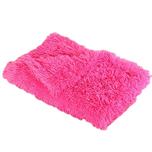 GUOCU Hundedecken Flauschig Plüsch Katzendecke Super Softe Weiche Warme Einfarbig Doppeilseitige Haustierdecke Weiche Fleecedecke Waschbare, Bett Decken für Hunde Und Katze,Rosen Rot,127x100cm GUOCU Hundedecken Flauschig Plüsch Katzendecke Super Softe Weiche Warme Einfarbig Doppeilseitige Haustierdecke Weiche Fleecedecke Waschbare, Bett Decken für Hunde Und Katze,Rosen Rot,127x100cm von GUOCU