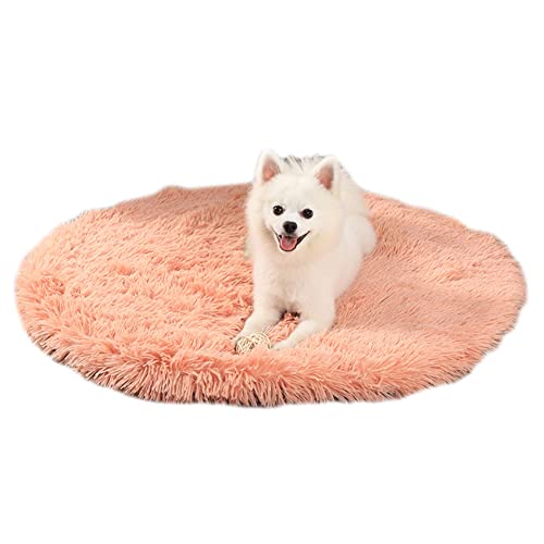 GUOCU Kunstpelz Shaggy Flauschig Hundematte Haustiermatte Super Weiches Hundebett Waschbar rutschfest Einfarbig Haustierbett für Hunde Und Katzen Runde Katzenbett Plüsches Bett,Rosa1,40cm GUOCU Kunstpelz Shaggy Flauschig Hundematte Haustiermatte Super Weiches Hundebett Waschbar rutschfest Einfarbig Haustierbett für Hunde Und Katzen Runde Katzenbett Plüsches Bett,Rosa1,40cm von GUOCU