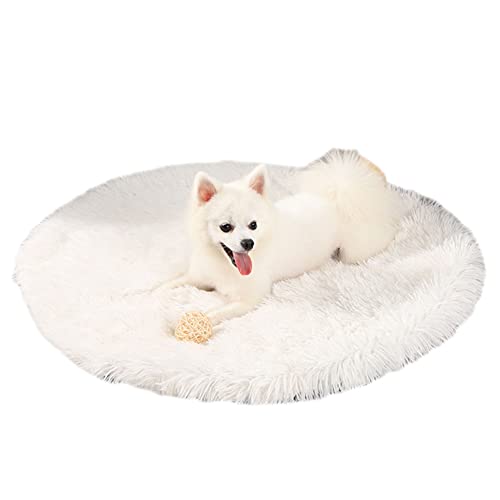 GUOCU Kunstpelz Shaggy Flauschig Hundematte Haustiermatte Super Weiches Hundebett Waschbar rutschfest Einfarbig Haustierbett für Hunde Und Katzen Runde Katzenbett Plüsches Bett,Weiß,60cm GUOCU Kunstpelz Shaggy Flauschig Hundematte Haustiermatte Super Weiches Hundebett Waschbar rutschfest Einfarbig Haustierbett für Hunde Und Katzen Runde Katzenbett Plüsches Bett,Weiß,60cm von GUOCU