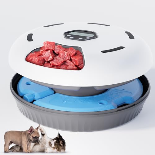 Automatischer Katzenfutterspender für Haustiere Automatischer Katzenfutterspender für Haustiere von GUODUN