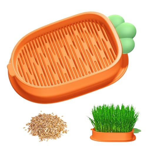 GUOYOU Hydrokultur-Gras-Tablett Katzengras Keimschale, Pflanzer Hydroponics Pflanzschalen für Katzengras Keimschalen, Seed Sprouter mit 5 Packungen Katzengras, Soil-Free, für Garten Home Office von GUOYOU