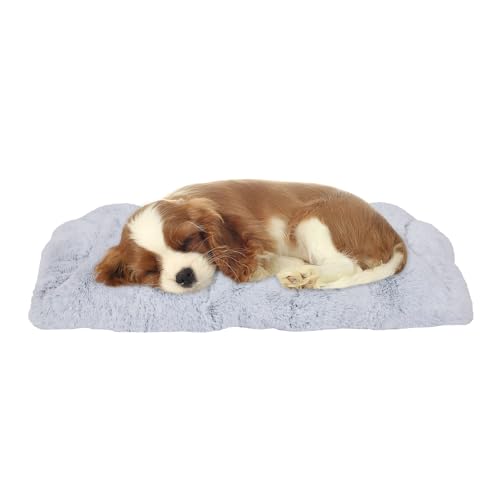 GUPPBF Hundewelpenbett - Plüsch-Bett für Hunde - Schlafplatz - Hundekissen - Maschinenwaschbar - Anti-Rutsch-Unterlage - Grau - 75 cm × 50 cm × 10 cm GUPPBF Hundewelpenbett - Plüsch-Bett für Hunde - Schlafplatz - Hundekissen - Maschinenwaschbar - Anti-Rutsch-Unterlage - Grau - 75 cm × 50 cm × 10 cm von GUPPBF