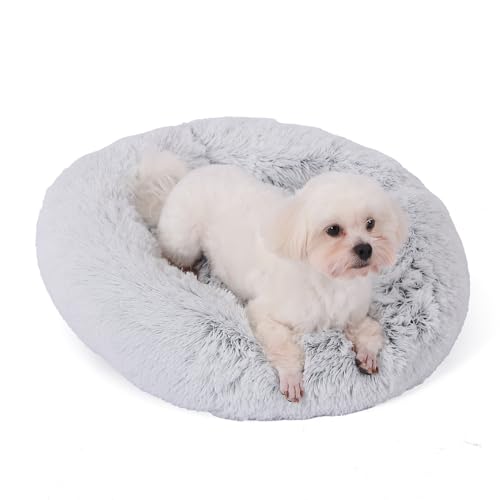 GUPPBF Hundekissen - Korb für Katzen in Donut-Form - Plüsch-Betten für Katzen - Waschbarer Hundekorb - Anti-Rutsch-Unterlage - Durchmesser 60 cm - Grau GUPPBF Hundekissen - Korb für Katzen in Donut-Form - Plüsch-Betten für Katzen - Waschbarer Hundekorb - Anti-Rutsch-Unterlage - Durchmesser 60 cm - Grau von GUPPBF