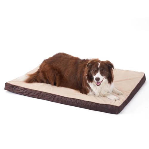 GUPPBF Hundekissen - Orthopädisches Hundebett-Matratze mit doppeltem Verwendungszweck (kühl/warm) -Robust und wasserdicht-Maschinenwaschbar- Beige- 75 cm × 50 cm × 7 cm von GUPPBF