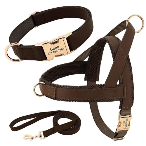 Benutzerdefinierte Einstellbare Haustier -ID -Name Telefonnummer Halsband Kabelbaum Leine Set Personalisiertes Leder -Hundekragen -Kabelbaum -Leinen -Set Für Kleine, Mittlere, Große Hunde,Braunes Benutzerdefinierte Einstellbare Haustier -ID -Name Telefonnummer Halsband Kabelbaum Leine Set Personalisiertes Leder -Hundekragen -Kabelbaum -Leinen -Set Für Kleine, Mittlere, Große Hunde,Braunes von GUQOFAIE
