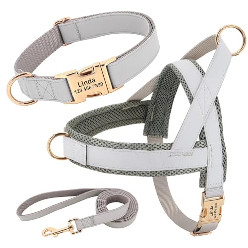 Benutzerdefinierte Einstellbare Haustier -ID -Name Telefonnummer Halsband Kabelbaum Leine Set Personalisiertes Leder -Hundekragen -Kabelbaum -Leinen -Set Für Kleine, Mittlere, Große Hunde,Graues Benutzerdefinierte Einstellbare Haustier -ID -Name Telefonnummer Halsband Kabelbaum Leine Set Personalisiertes Leder -Hundekragen -Kabelbaum -Leinen -Set Für Kleine, Mittlere, Große Hunde,Graues von GUQOFAIE