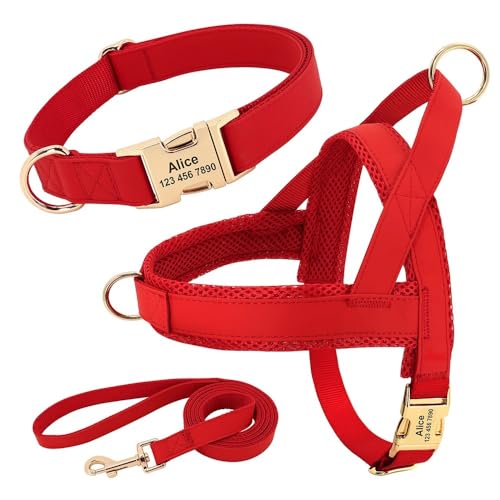 Benutzerdefinierte Einstellbare Haustier -ID -Name Telefonnummer Halsband Kabelbaum Leine Set Personalisiertes Leder -Hundekragen -Kabelbaum -Leinen -Set Für Kleine, Mittlere, Große Hunde,Rotes S Benutzerdefinierte Einstellbare Haustier -ID -Name Telefonnummer Halsband Kabelbaum Leine Set Personalisiertes Leder -Hundekragen -Kabelbaum -Leinen -Set Für Kleine, Mittlere, Große Hunde,Rotes S von GUQOFAIE