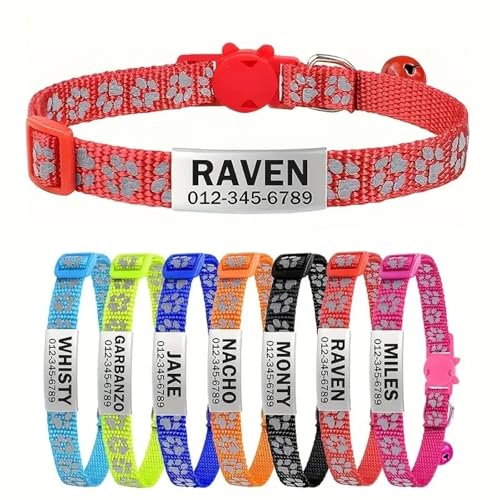Benutzerdefinierte ID-Name Tag Kätzchen Welpenkragen Mit Glocken Personalisierter Anti-verlorener Verstellbarer Nylon Reflexion PET PET HALLAR,Rot,19-32 cm von GUQOFAIE