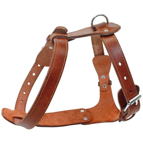Braun Einstellbares Gurt PU Leder Hundegurt Hunde Walking Training Camping Jagdgurt Weste Geeignet Für Mittelgroße Und Große Pitbull -Boxer Mastiff French Bulldogge,Braun,L von GUQOFAIE
