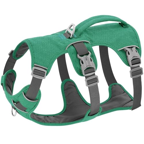Einstellbarer Nylonhund -Wandertraining Kabelbaum Mit Griff Im Freien Reflektierende Hundekabelbaumweste Für Kleine Mittelgroße Hunde Labrador Bulldogge Geeignet,Grün,S Einstellbarer Nylonhund -Wandertraining Kabelbaum Mit Griff Im Freien Reflektierende Hundekabelbaumweste Für Kleine Mittelgroße Hunde Labrador Bulldogge Geeignet,Grün,S von GUQOFAIE
