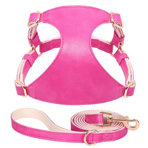 Feste Farbe Weicher Und Komfortable PU Leder Hundekabelbaum Leine Set Hunde Katzengurt 5ft,Rose Red,S Feste Farbe Weicher Und Komfortable PU Leder Hundekabelbaum Leine Set Hunde Katzengurt 5ft,Rose Red,S von GUQOFAIE