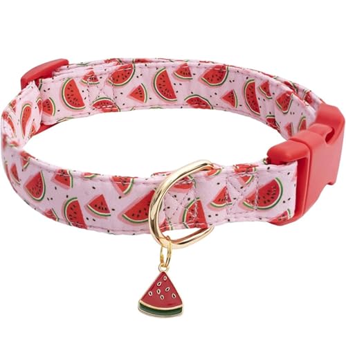 Fruchtdruckmuster Einstellbarer Nylon -Katzenhundkragen Mit Obstmetallanhänger Für Shiba Inu Pommeranische Pudel,F,M von GUQOFAIE