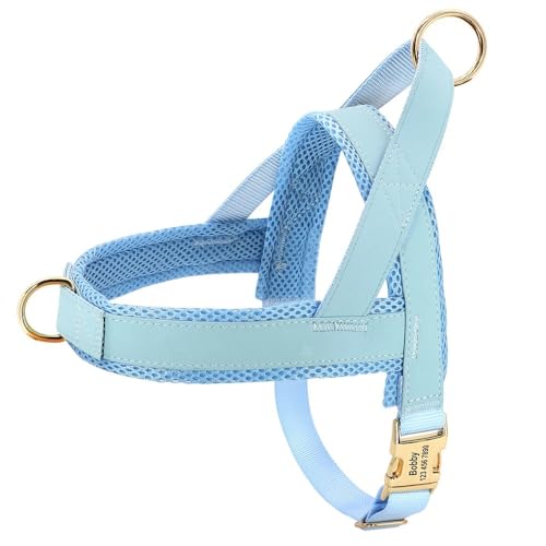 Gravierbare Anti-verlorene Verstellbare Leder-Haustierkabelbaumweste Personalisiertes Hundekabelbaum Passt Kleine Mittelgroße Hunde Haustier Vorräte,Blau,XL Gravierbare Anti-verlorene Verstellbare Leder-Haustierkabelbaumweste Personalisiertes Hundekabelbaum Passt Kleine Mittelgroße Hunde Haustier Vorräte,Blau,XL von GUQOFAIE
