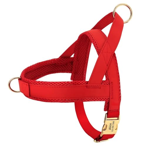 Gravierbare Anti-verlorene Verstellbare Leder-Haustierkabelbaumweste Personalisiertes Hundekabelbaum Passt Kleine Mittelgroße Hunde Haustier Vorräte,Rot,XS Gravierbare Anti-verlorene Verstellbare Leder-Haustierkabelbaumweste Personalisiertes Hundekabelbaum Passt Kleine Mittelgroße Hunde Haustier Vorräte,Rot,XS von GUQOFAIE