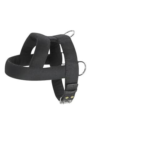 Haustier Agility Products Hund Gewichtete Leine Gepolsterte Hundekabelbaum Leine Große Hundetraining Camping Jagdkabelbaum Für Pitbull Deutsche Schäferhund French Bulldogge,Schwarz,M Haustier Agility Products Hund Gewichtete Leine Gepolsterte Hundekabelbaum Leine Große Hundetraining Camping Jagdkabelbaum Für Pitbull Deutsche Schäferhund French Bulldogge,Schwarz,M von GUQOFAIE