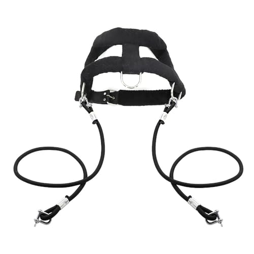 Hundetraining Spannungsgurt Winter Hundeschlitten Skigeschirr Geeignet Für Mittelgroße Und Große Hunde Labrador Alaskan Husky,Schwarz,M Hundetraining Spannungsgurt Winter Hundeschlitten Skigeschirr Geeignet Für Mittelgroße Und Große Hunde Labrador Alaskan Husky,Schwarz,M von GUQOFAIE