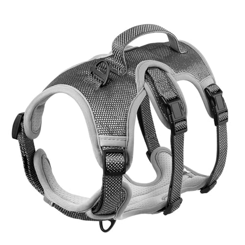Medium Und Großer Hund Pug Labrador Französisch Bulldogge Walking Camping Training Gurt Outdoor Reflektierende Nylon Atmungsfreie Hundekabelbaumweste Mit Kontrollgriff,Schwarz,M Medium Und Großer Hund Pug Labrador Französisch Bulldogge Walking Camping Training Gurt Outdoor Reflektierende Nylon Atmungsfreie Hundekabelbaumweste Mit Kontrollgriff,Schwarz,M von GUQOFAIE