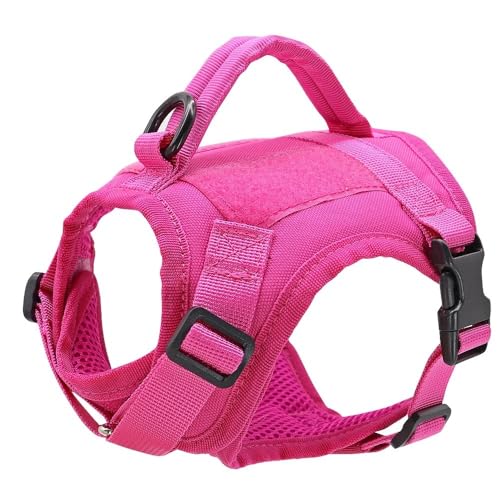 Mit Aufklebern Weiche Und Komfortable Nylonkatze Und Hundekabelbaumweste Militärisches Taktisches Haustier Training Wandeln Camping Jagdgurt Mit Kontrollgriff,Rose Mit Aufklebern Weiche Und Komfortable Nylonkatze Und Hundekabelbaumweste Militärisches Taktisches Haustier Training Wandeln Camping Jagdgurt Mit Kontrollgriff,Rose von GUQOFAIE